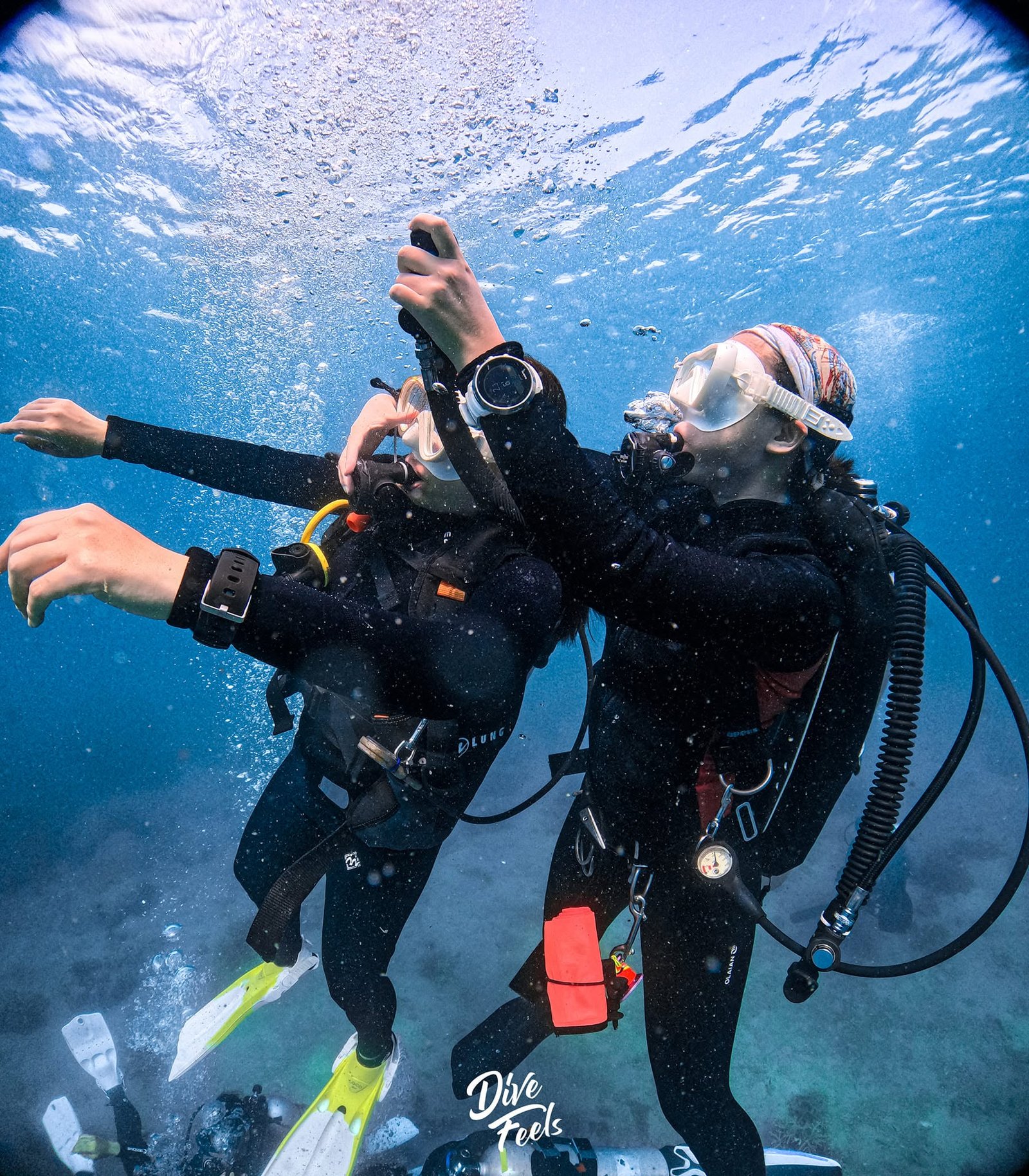 Diver Stress & Rescue Course