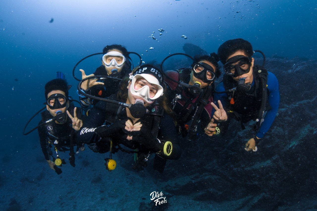 Dive Feels Diver 1