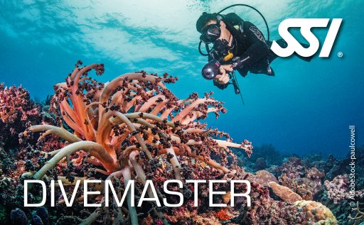 Divemaster