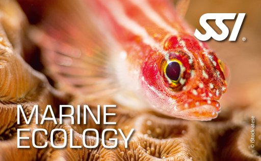 Marine Ecology