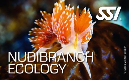 Nudibranch Ecology
