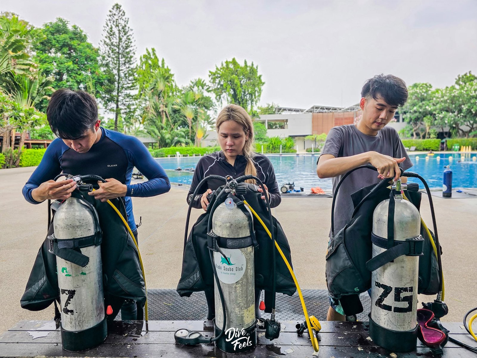 Open Water Diver Course