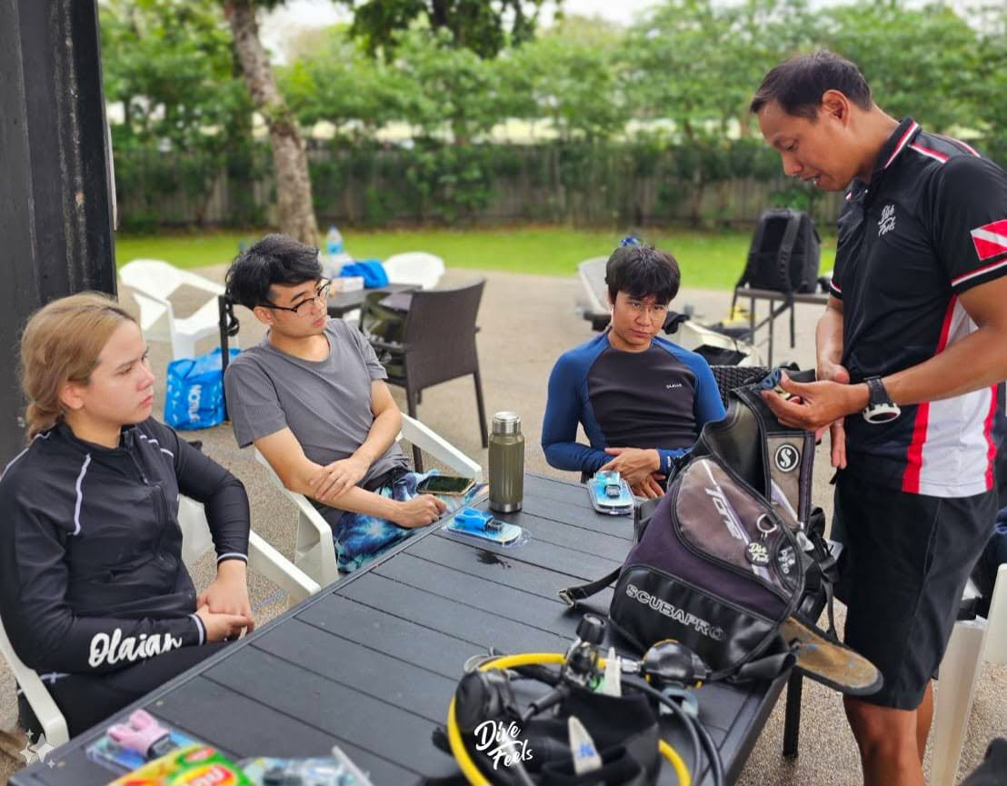 Open Water Diver Course