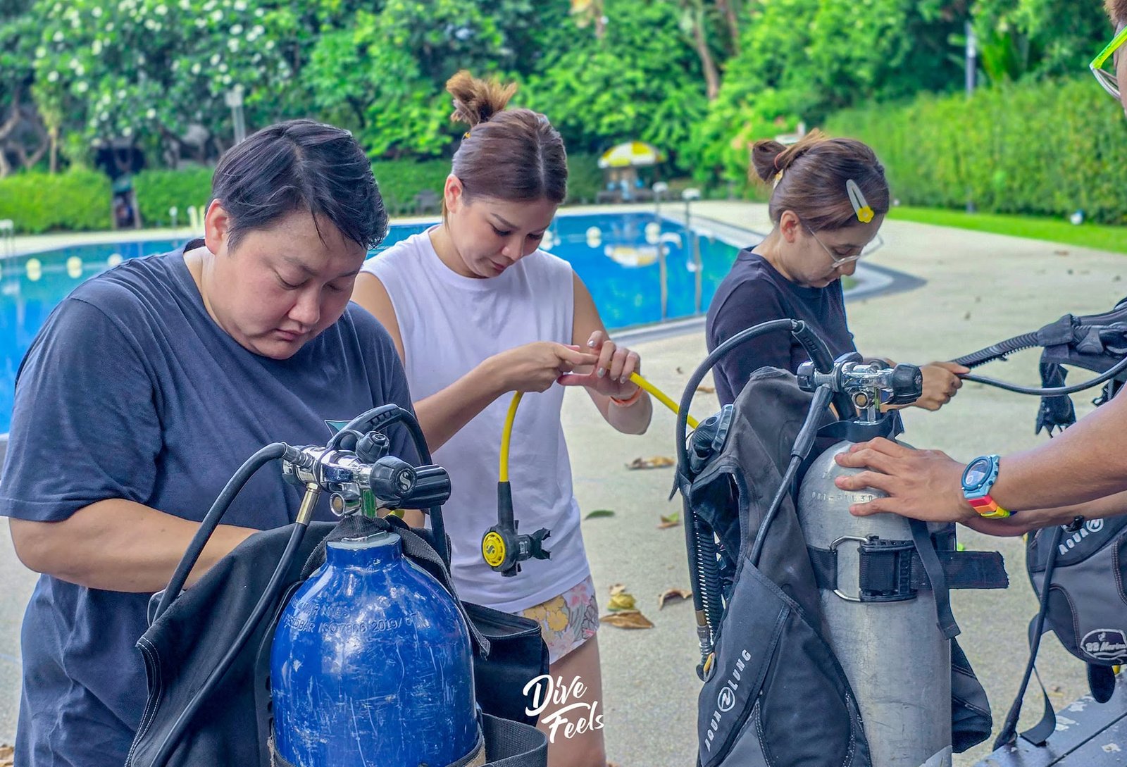 Open Water Diver Course