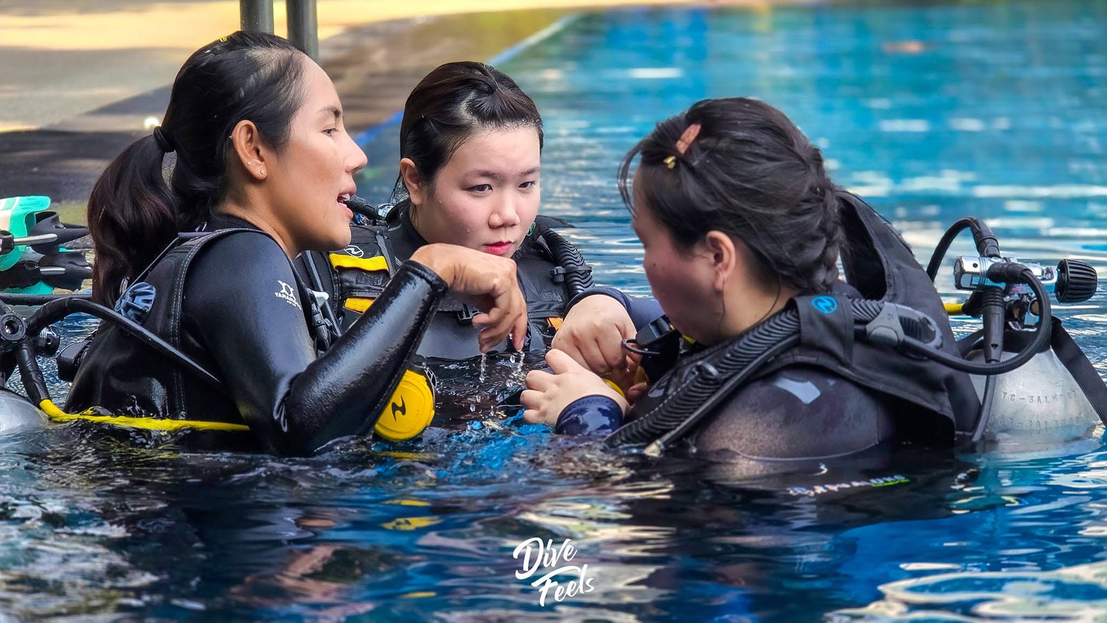 Open Water Diver Course
