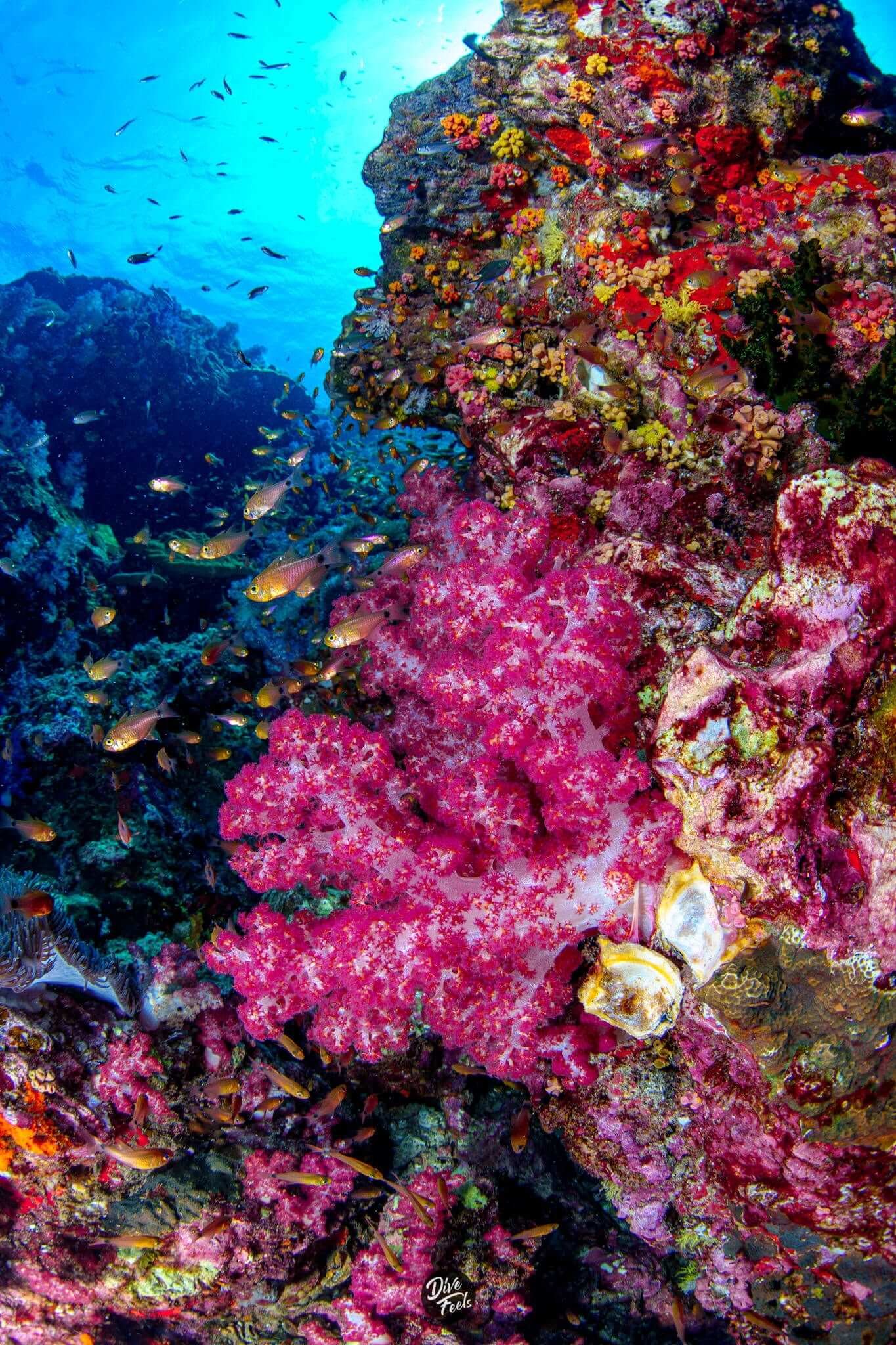 North Andaman