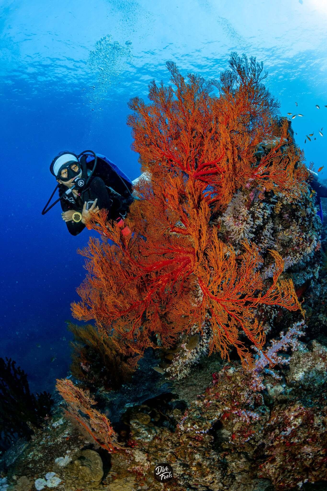 North Andaman