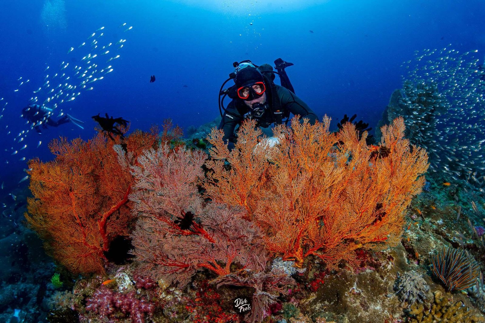 North Andaman