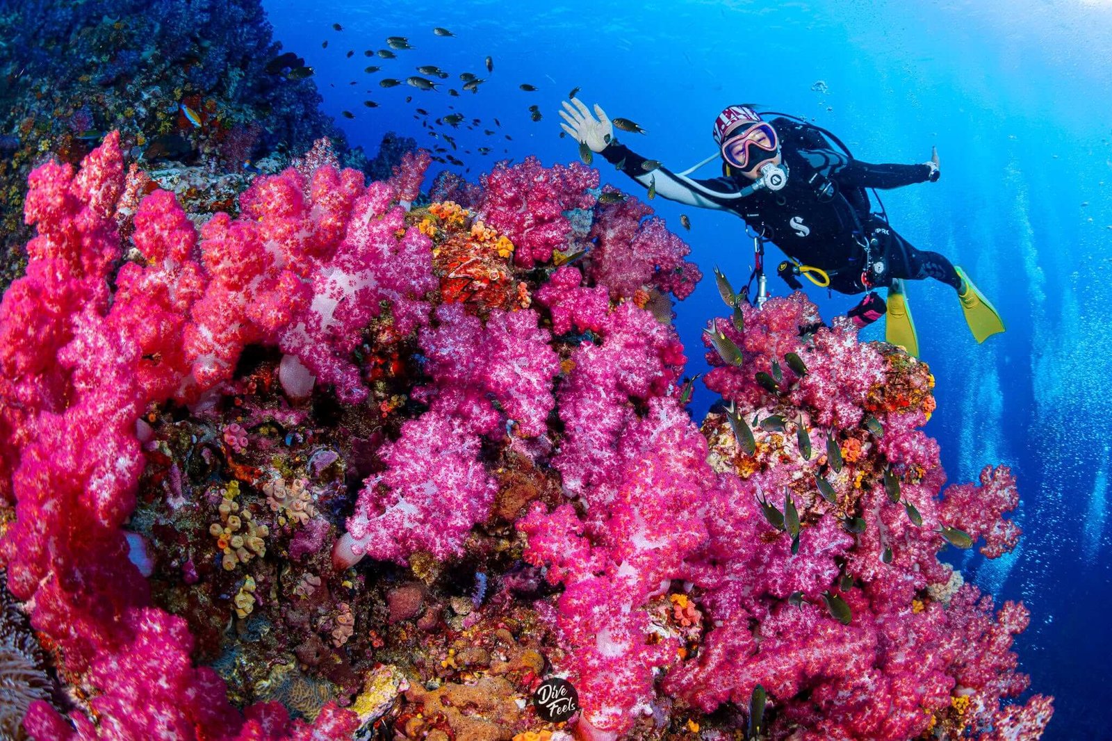 North Andaman