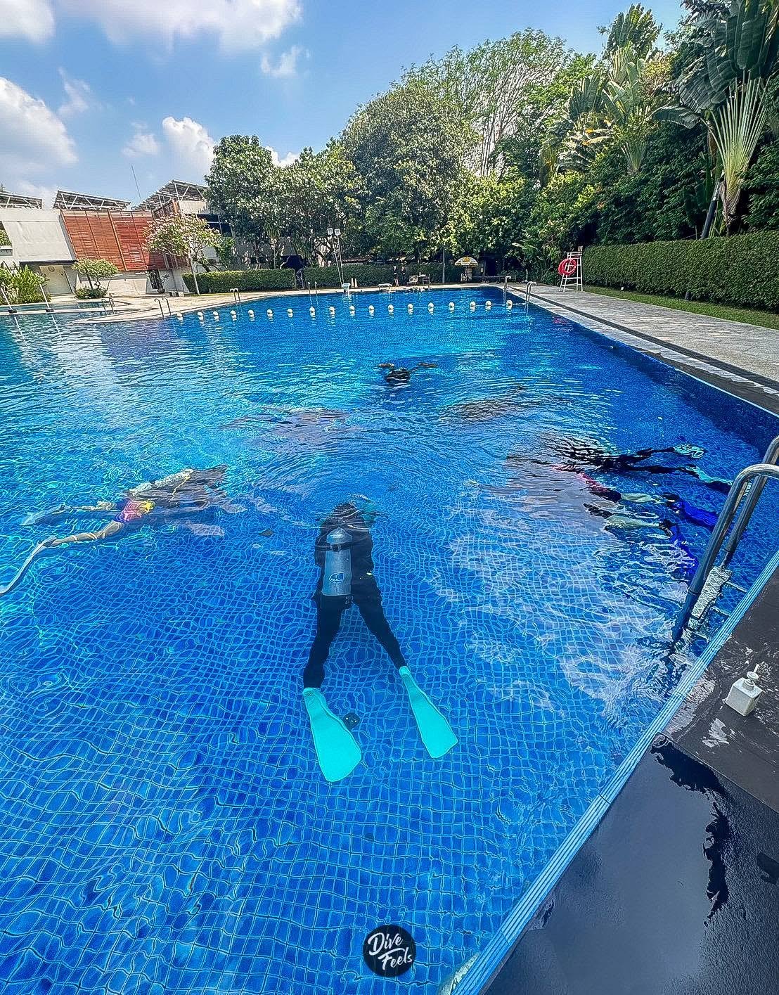 Perfect Buoyancy Course