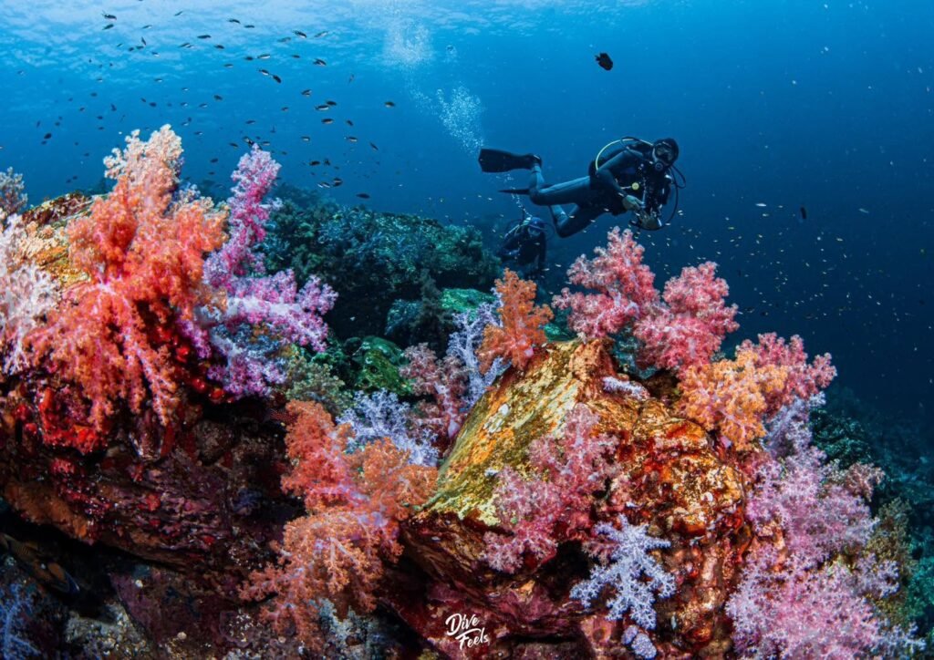 South Andaman Trip